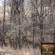 hickory-hill-hunts-treestands-0006