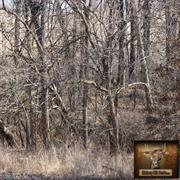 hickory-hill-hunts-treestands-0007