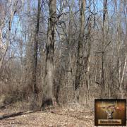 hickory-hill-hunts-treestands-0009
