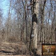 hickory-hill-hunts-treestands-0010