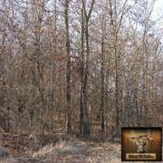 hickory-hill-hunts-treestands-0011