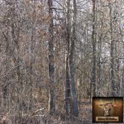 hickory-hill-hunts-treestands-0012