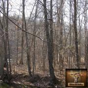 hickory-hill-hunts-treestands-0013
