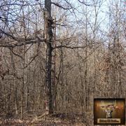 hickory-hill-hunts-treestands-0015